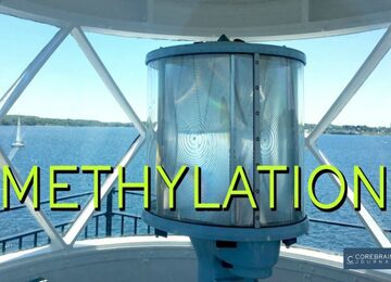 the words methylation are displayed on a boat