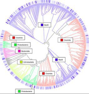 a circular diagram with several different colors