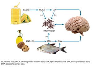 a diagram of the life cycle of a fish