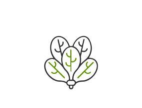 a black and green logo with leaves on it